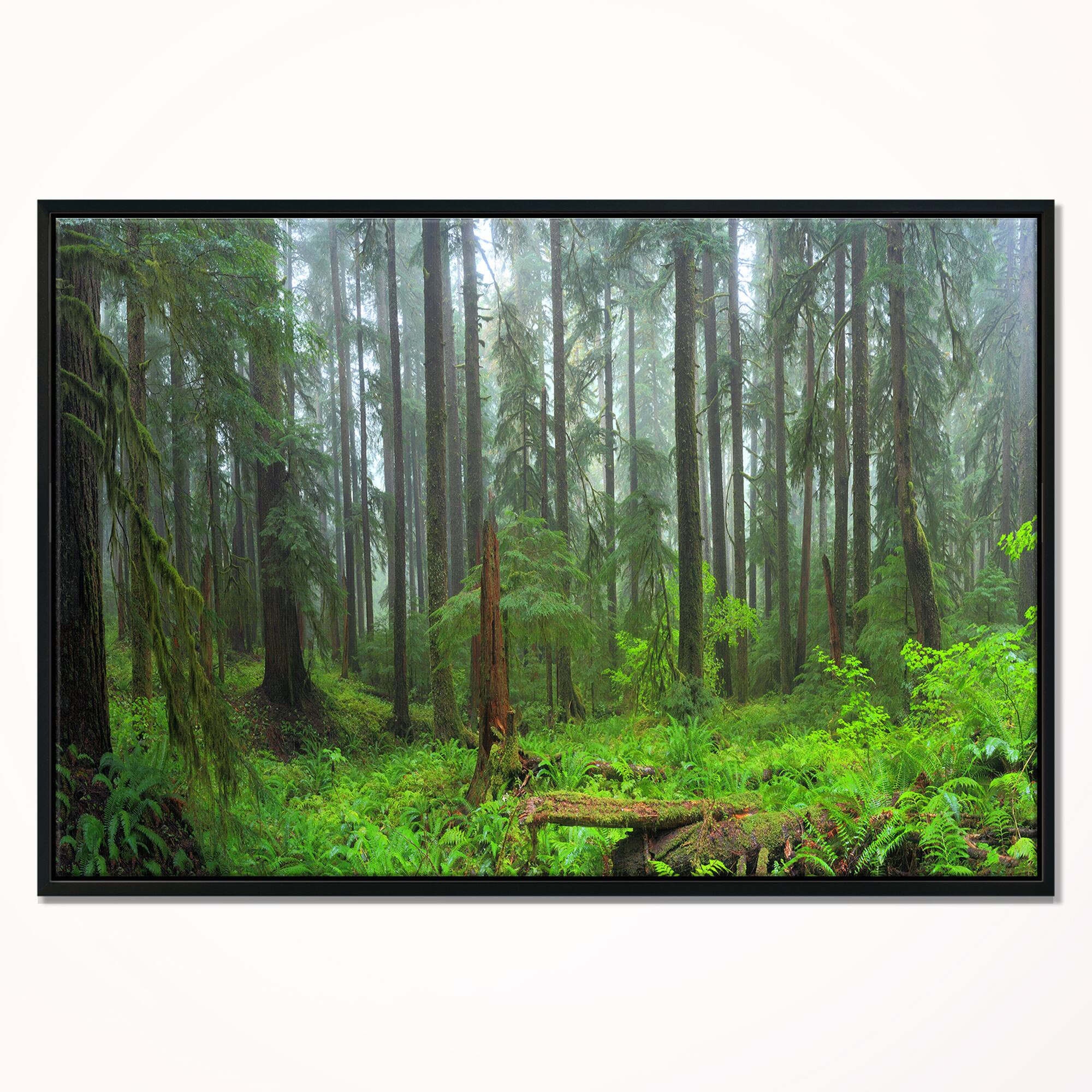 Designart - Hoh Rain Forest